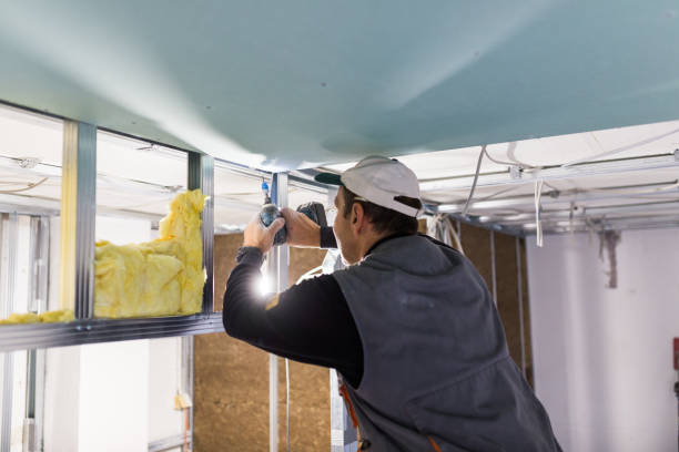 Types of Insulation We Offer in Opp, AL