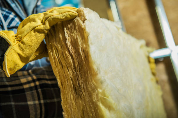 Best Cellulose Insulation in Opp, AL