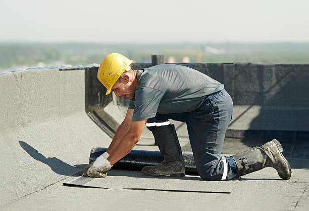 Best Geographic-Specific Insulation Services in Opp, AL